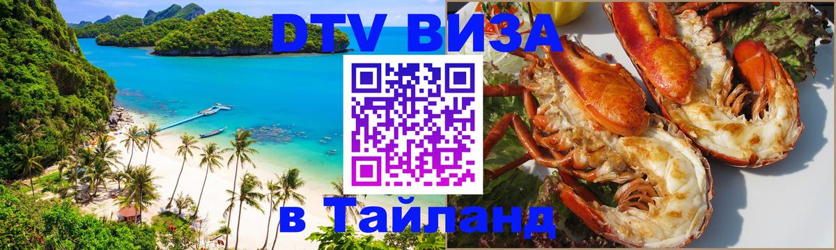 Оформление DTV визы под ключ: стоимость и тарифы, только загранпаспорт - Новошахтинск 